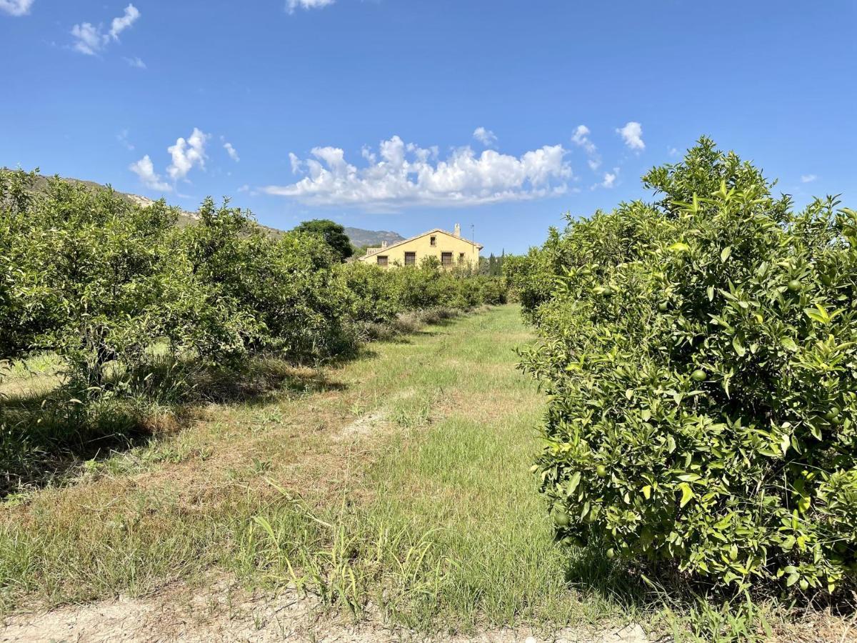Casa Ramoncico. Finca El Campillo Blanca エクステリア 写真