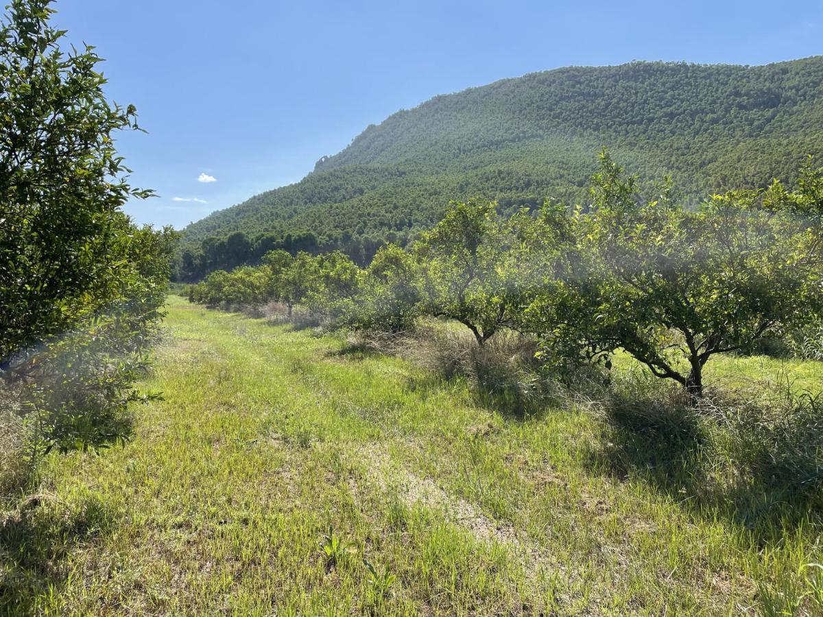 Casa Ramoncico. Finca El Campillo Blanca エクステリア 写真