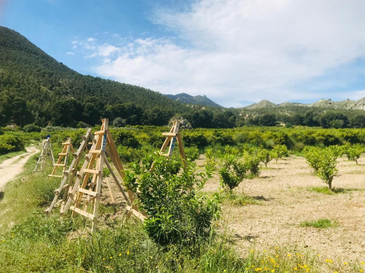 Casa Ramoncico. Finca El Campillo Blanca エクステリア 写真