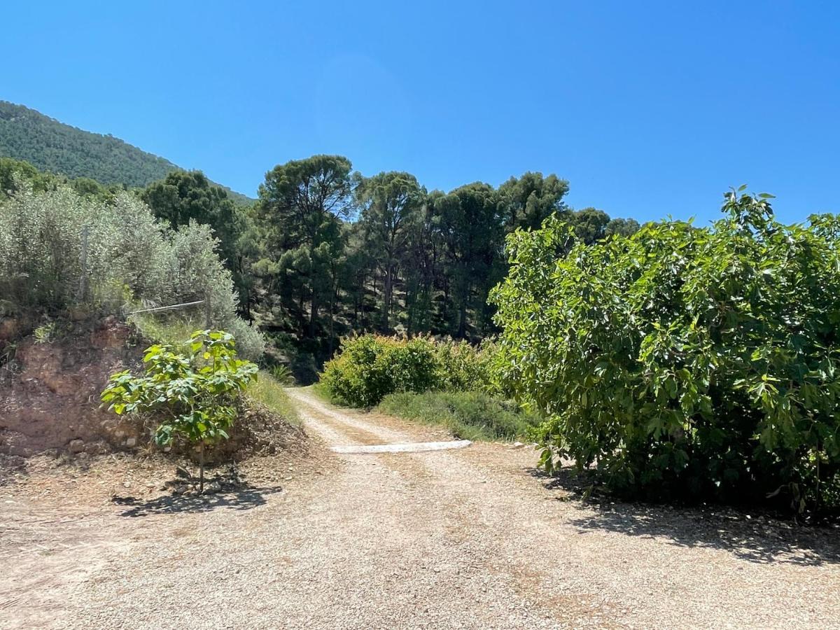 Casa Ramoncico. Finca El Campillo Blanca エクステリア 写真