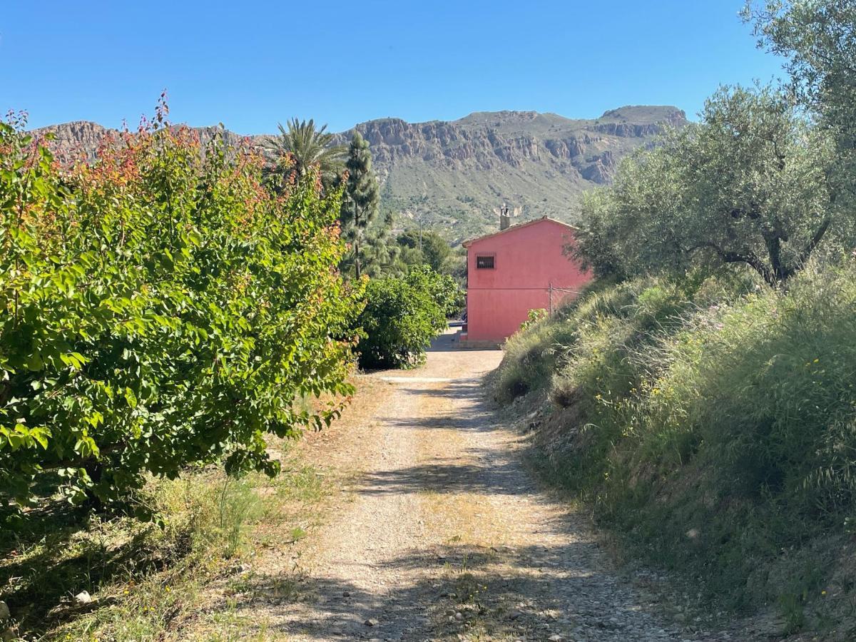 Casa Ramoncico. Finca El Campillo Blanca エクステリア 写真