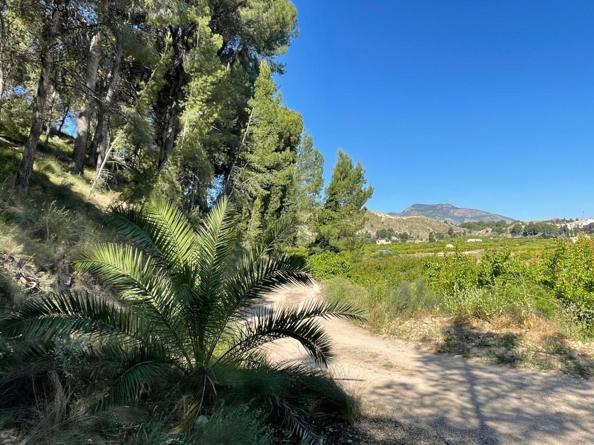 Casa Ramoncico. Finca El Campillo Blanca エクステリア 写真